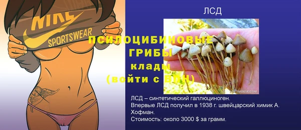 ПСИЛОЦИБИНОВЫЕ ГРИБЫ Армянск