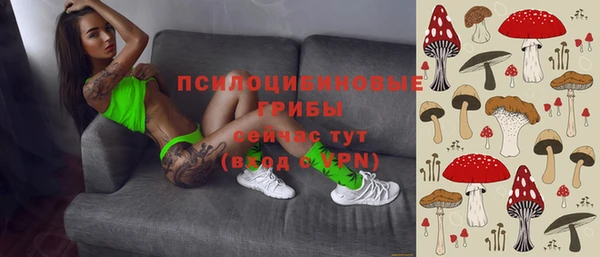 ПСИЛОЦИБИНОВЫЕ ГРИБЫ Армянск