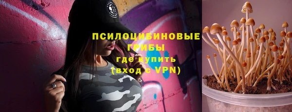 ПСИЛОЦИБИНОВЫЕ ГРИБЫ Армянск