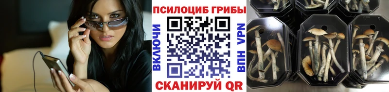 Псилоцибиновые грибы мухоморы  закладки  Покров 